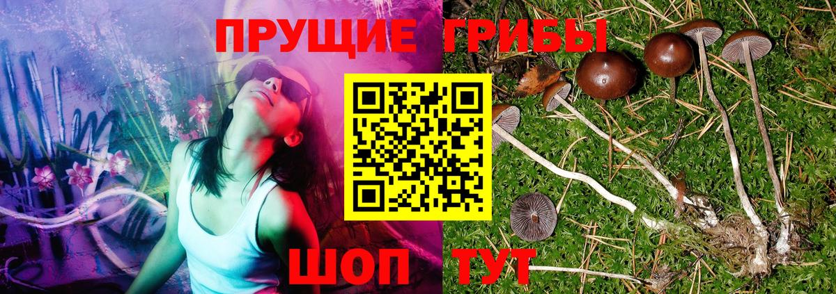 Галлюциногенные грибы Magic Shrooms Бузулук