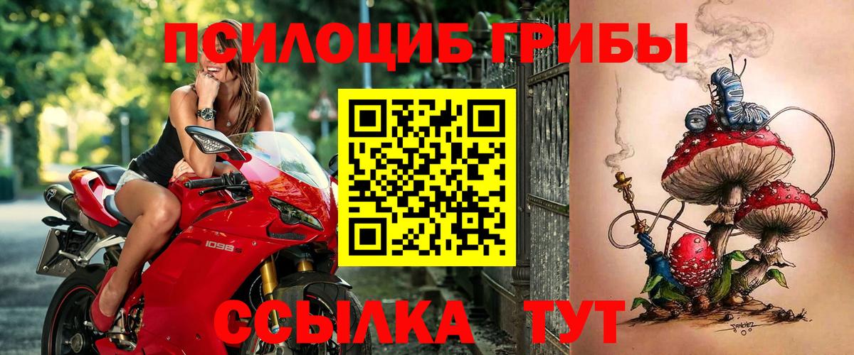 Галлюциногенные грибы ЛСД Бузулук