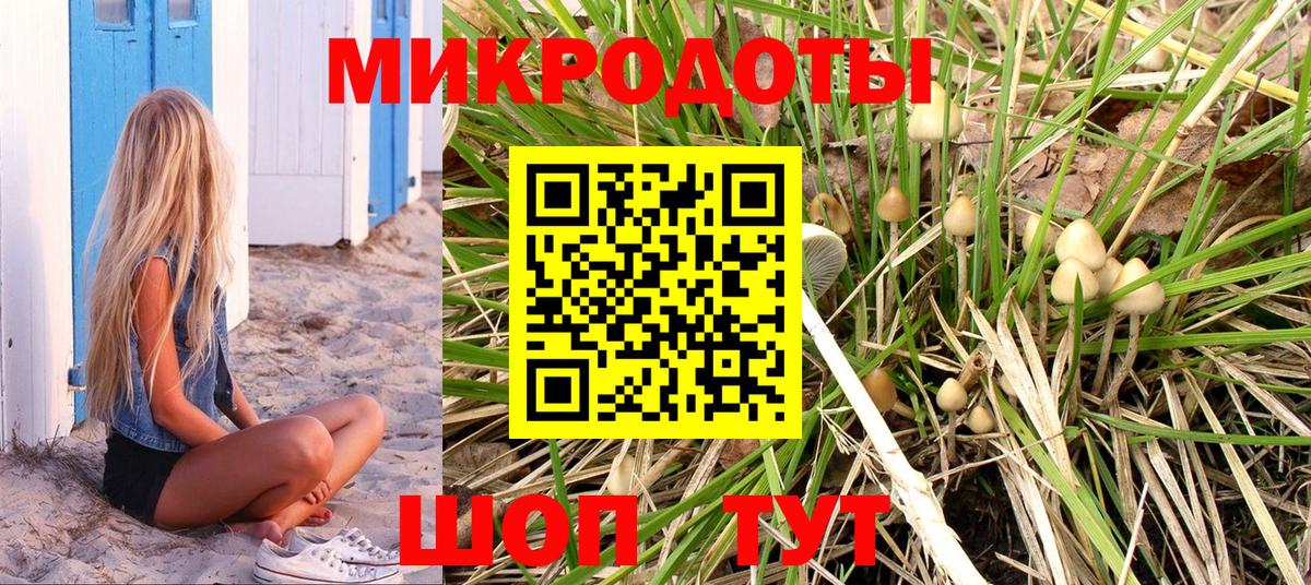 где можно купить наркотик  Вход с VPN  Бузулук  Псилоцибиновые грибы мицелий 